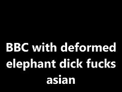 BBC with deformed elephant dick & Asian