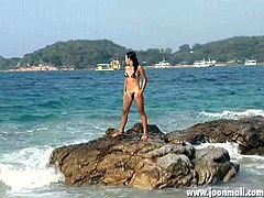 Watch this hot bombshell babe in bikini, running around the beach and enjoying this nice surroundings. See her tight body, as she is showing it to you with very tease-full attitude and making you crave her more. That tight bubble butt is sure something to dream about all night long!