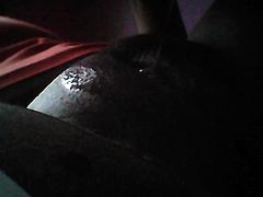 kitty