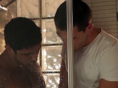 Dato and Theo are both men who love to have it, when they want to have it. As both of them find themselves in the shower-case and one of them is butt-naked, they thought there couldn't be a perfect moment! So after a bit of kissing and deep cock sucking action, it's time to drill that tight asshole!