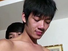 Threeway cock eating Thai boys. Thai boy Yaum is all over Keng, giving him a lap dance and seducing him with his smooth body and hot Asian ass. It's not long before he starts sucking his cock.