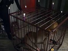 A girl sits in a cage at his bitch