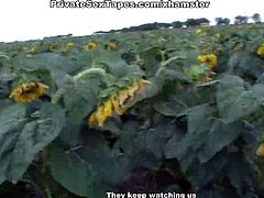 Man fucking his cute amateur girlfriend among sunflowers