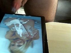 Tribute 3