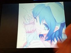 Cirno SOP