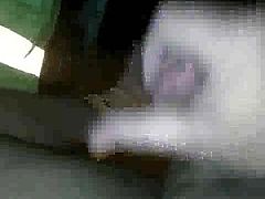 Wixxen
