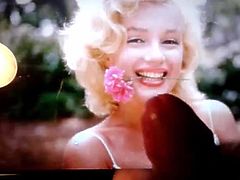 tribute to marilyn monroe