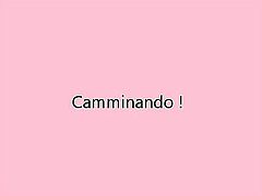 Camminando !