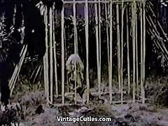 Caged Stipper gets Frenzy in the Jungle (1960s Vintage)