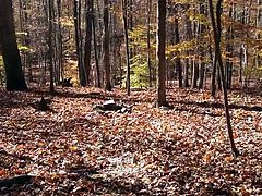 naked workout in the park