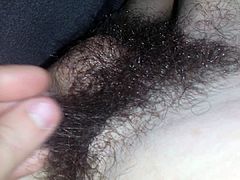 hairy dick