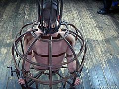 Abigail Dupree literally looks like a bird in a cage. Click to watch this bald babe, tightly compressed in a metal bondage cage, with no chance to escape from her tormentors. Don't miss the inciting scenes! Enjoy!
