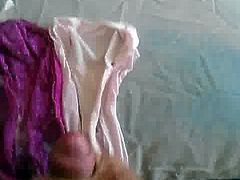 Cumming on lodger's purple panties