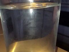 Cumshot in Waterglass