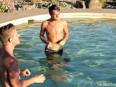 I couldn't believe what I got to see the other day. My two buddies were in for a little swim and volleyball, and once they got out, they went behind the wall, before coming back into the house. They didn't know I saw them blowing each other, and it made me hot. I grabbed my cock and started jerking.