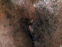 ebony ass drilled by master