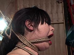 Rich babe Siouxsie, never thought, that she will be humiliated and dominated. Jack Hammerx abducted her and tied to car hood in his garage. He exposed her big boobs and placed a vibrator on her clit. She screamed loudly, but her painful screams tuned into pleasurable moans eventually.