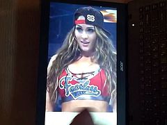 Nikki Bella Tribute 03