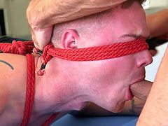 Kyler Ash was tied to a snooker table in the spread eagle position and he was blindfolded. Jessie Colter firmly held his submissive sex slave's face and brutally face fucked him, until he cum. He also whipped, tickle tortured and dominated his submissive gay partner throughout the session.