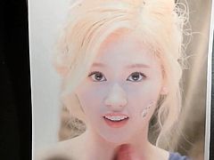 Cum tribute for Sana (Twice)