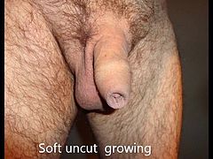 UNCUT GROWING