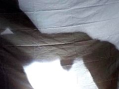 Wife and Shadow picture sex