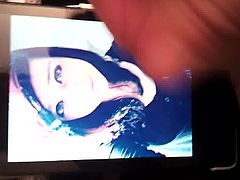 Tribute 4