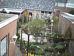 one man walk in the garden