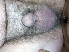 vulgar hot breeding