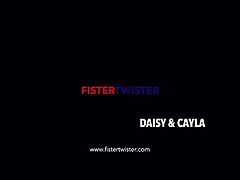 Fistertwister - Blondes Have More Fun