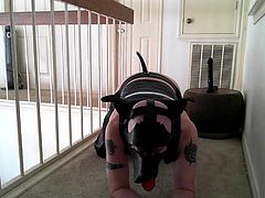 Skinhead Trade