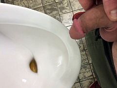 Pisse