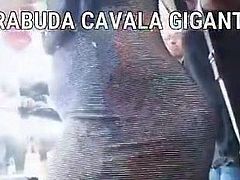 RABUDA CAVALA GIGANTE