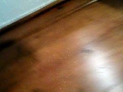 they fuck in my room