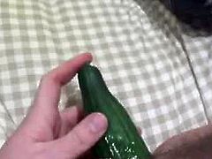 Anal cucumber play