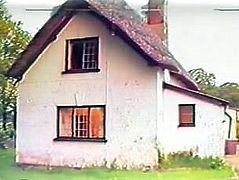 Dorset Cottage