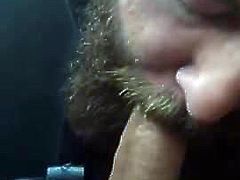 Bearded cocksucker