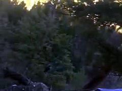 polvo en el monte