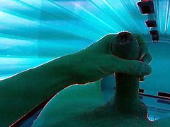 solarium wix 2.5.18