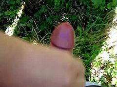 Cock fun down the woods