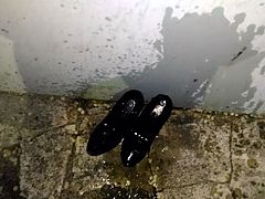 PISSING SHOES22