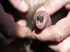 good flies