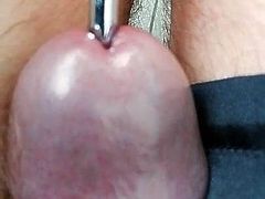insertion urethea