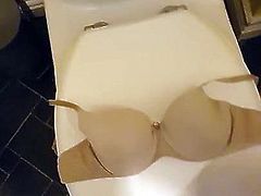 Cum on wifes bra