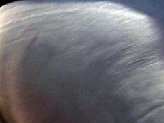 my bottom