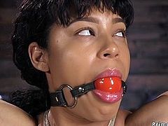 Ebony slave newbie whipped in bondage