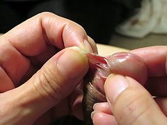 getting frenum piercing cock