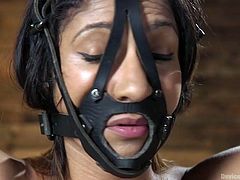 Crucified bitch Sadie Santana gets her pussy fucked and punished