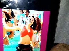 Preity Zinta prettiest cum tribute