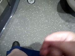 WANK cum TRAIN TOILET